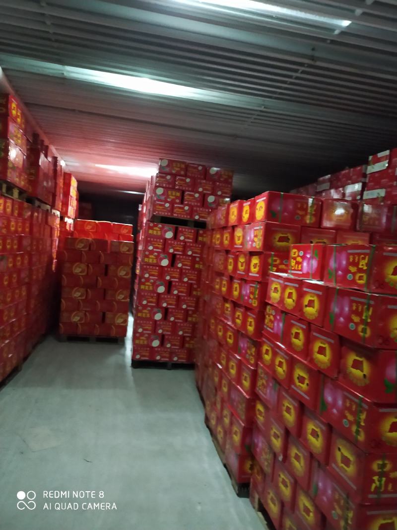 阿克苏苹果香梨批发零售