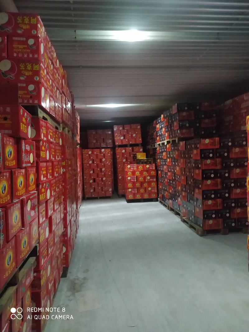 阿克苏苹果香梨批发零售