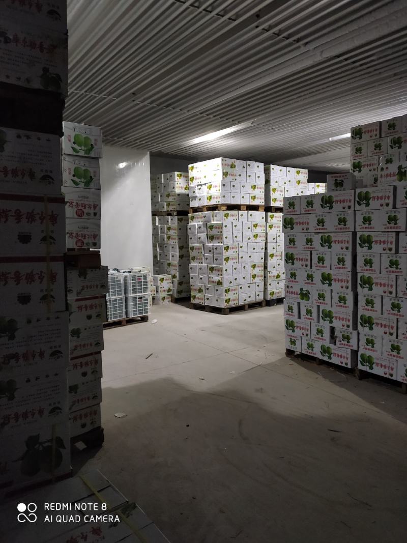 阿克苏苹果香梨批发零售