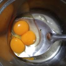 新鲜无抗生素安全土鸡蛋
