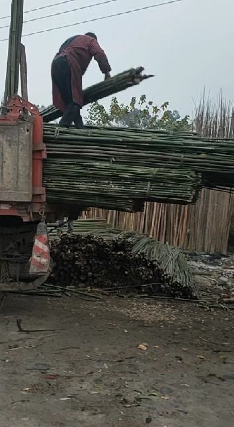 成都菜架竹竿搭架子粗细彩旗竹竿跳舞竹竿