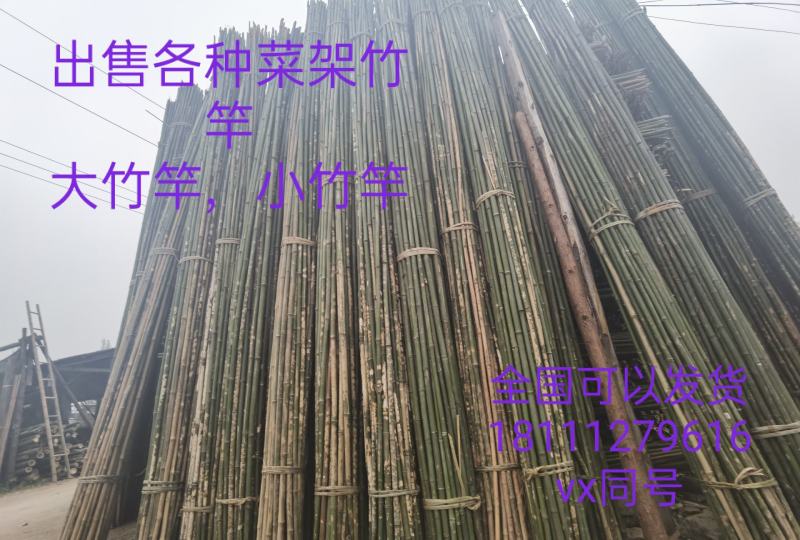 成都菜架竹竿搭架子粗细彩旗竹竿跳舞竹竿