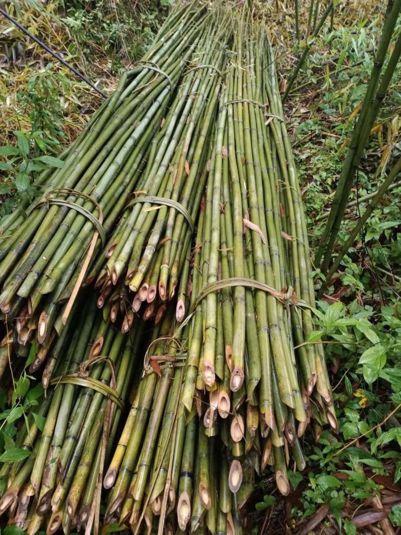 成都菜架竹竿搭架子粗细彩旗竹竿跳舞竹竿