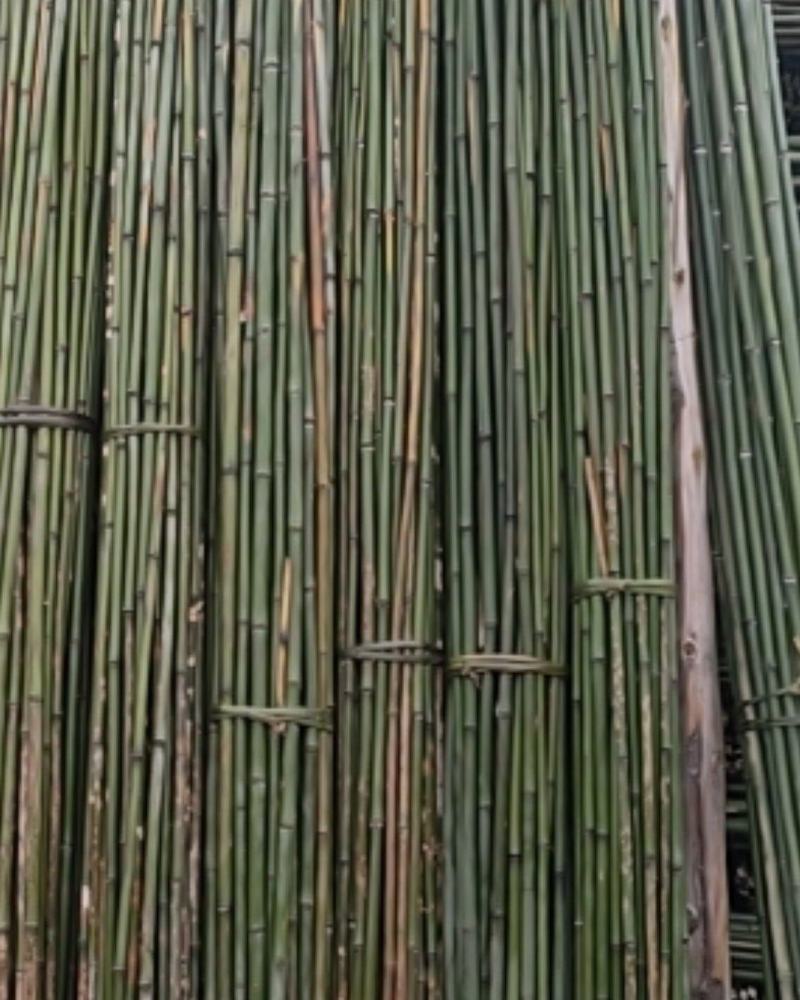 成都菜架竹竿搭架子粗细彩旗竹竿跳舞竹竿