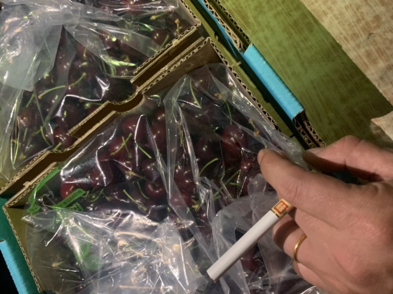 智利车厘子澳洲车厘子