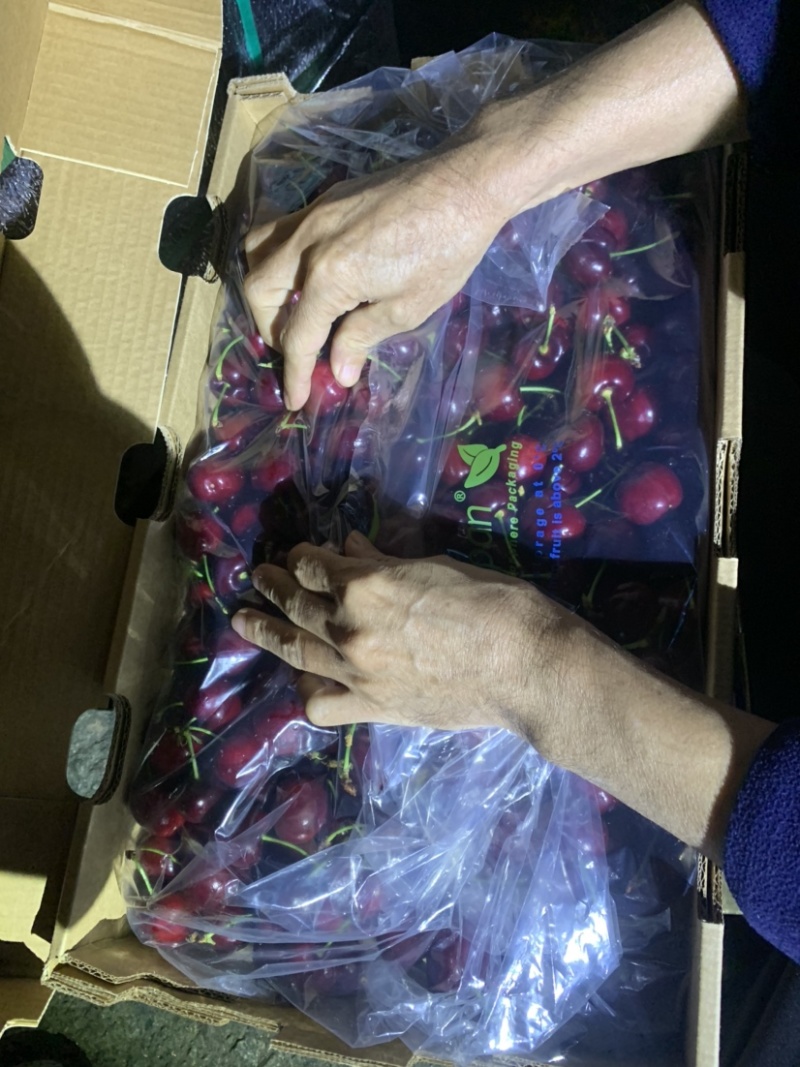 智利车厘子澳洲车厘子