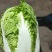 大白菜黄莲白白菜3-4斤保质保量承接各大平台欢迎选