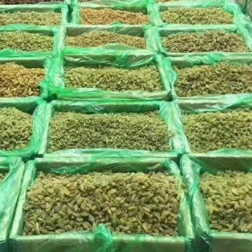 2025年新货！新疆葡萄干中绿大绿大黄大量有货，不包邮！