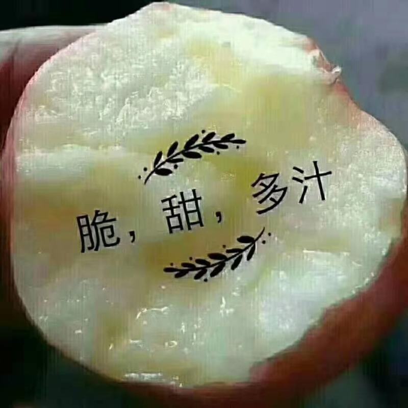 冰糖心红富士，一手货源，产区直供，火爆热销！