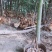原生态皖南山鸡蛋物流快递一件代发