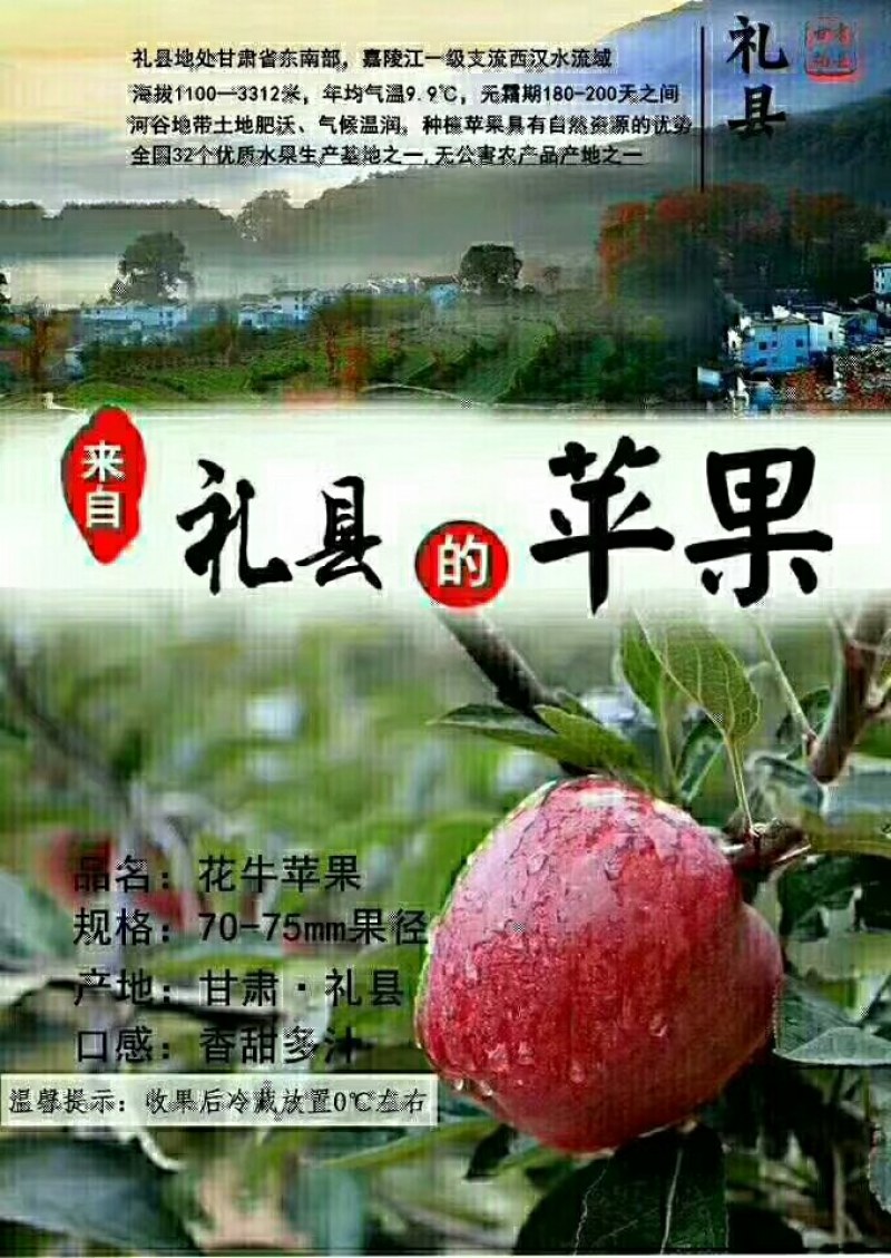 甘肃花牛苹果产地供应，一手货源，代发全国