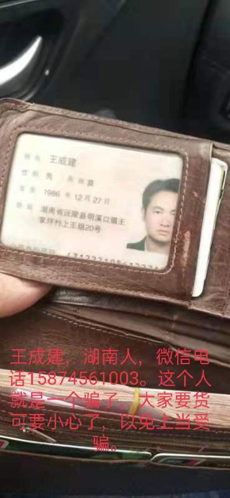 长期供应各种冰鲜冷冻鱼肚巴沙鱼肚净重2斤。