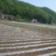 白色地膜保温保湿农用膜混凝土吹塑膜黑地膜果园农资蔬菜大棚