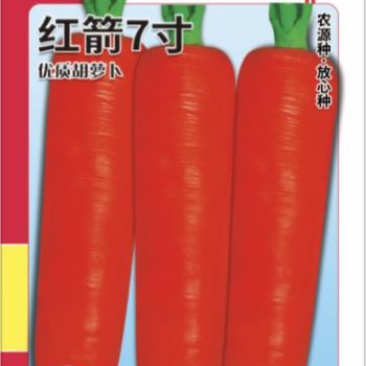 萝卜种子，胡萝卜种子，红箭7号，三红七寸参胡萝卜种子