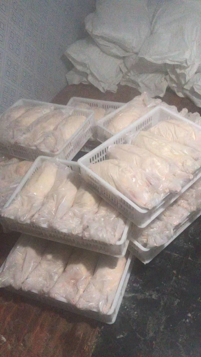 鹅灰雁鹅8-10斤新杀个头均匀冷冻排酸