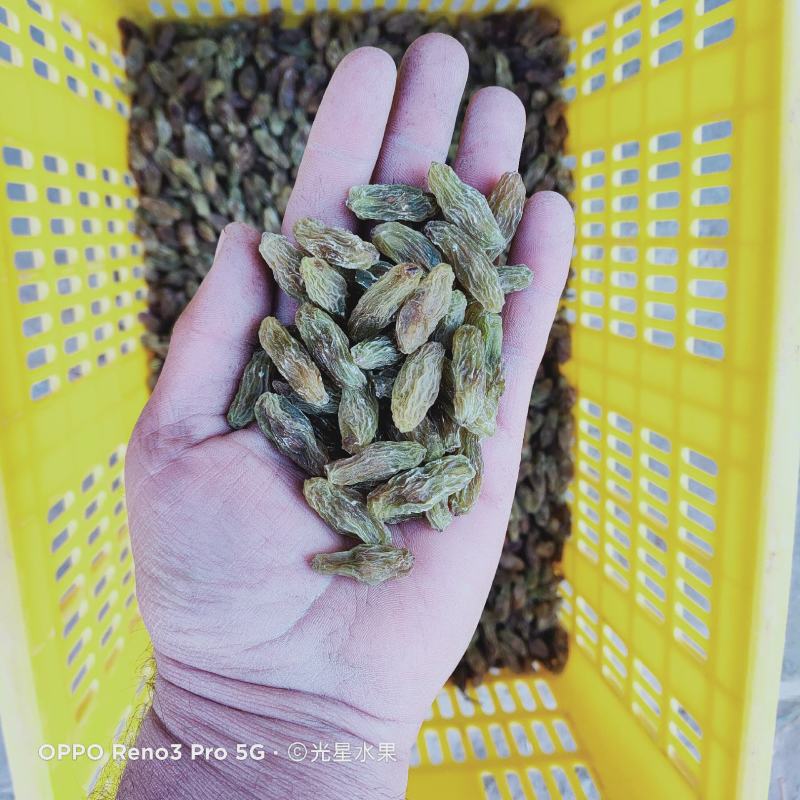 绿马奶子葡萄干快递，航运包邮你的微笑，是我们的荣幸！
