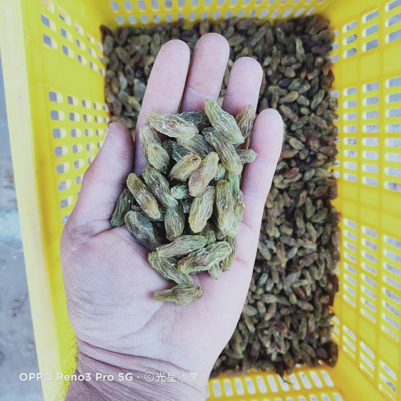 绿马奶子葡萄干快递，航运包邮你的微笑，是我们的荣幸！