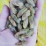 绿马奶子葡萄干快递，航运包邮你的微笑，是我们的荣幸！