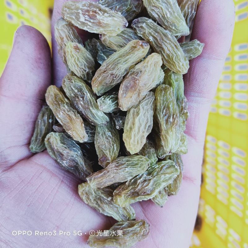绿马奶子葡萄干快递，航运包邮你的微笑，是我们的荣幸！