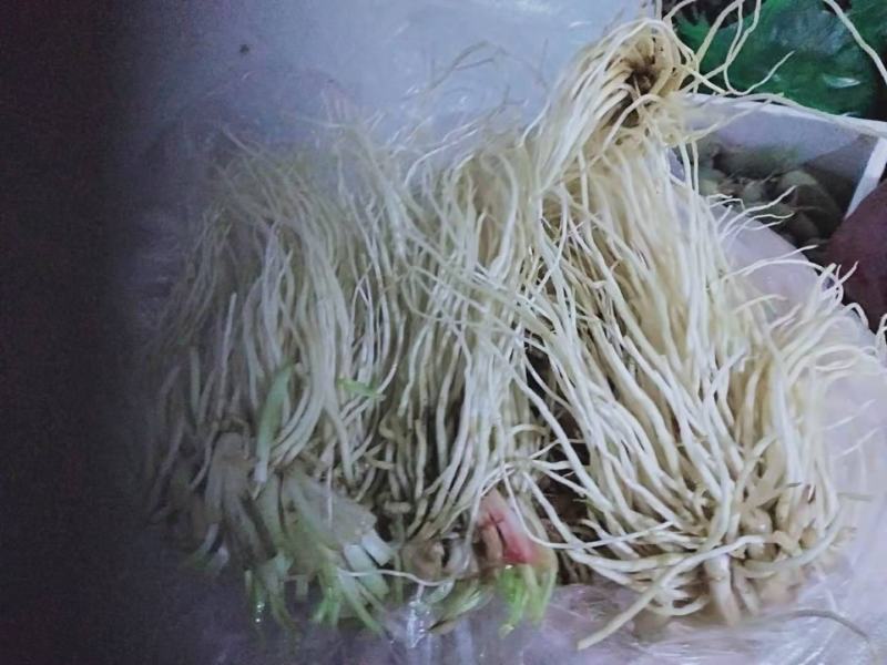 各种特色蔬菜欢迎订购
