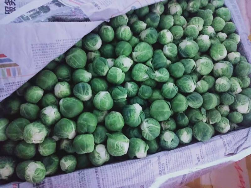 各种特色蔬菜欢迎订购