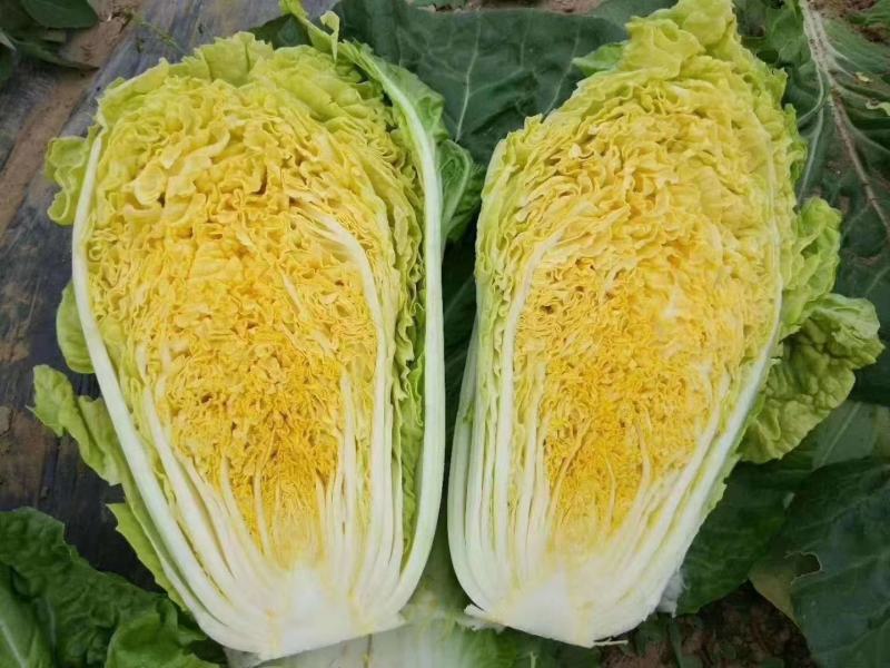各种特色蔬菜欢迎订购