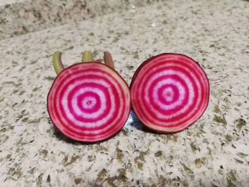 各种特色蔬菜欢迎订购