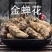 金蝉花大别山货批发各种中药材产地直销