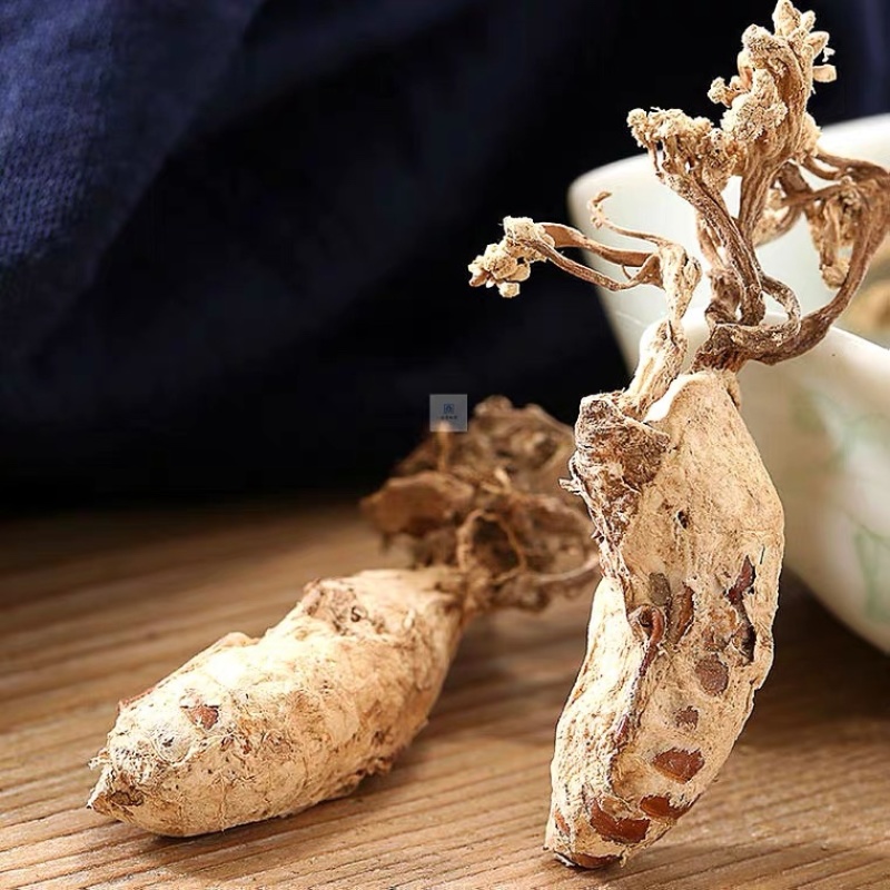 金蝉花大别山货批发各种中药材产地直销