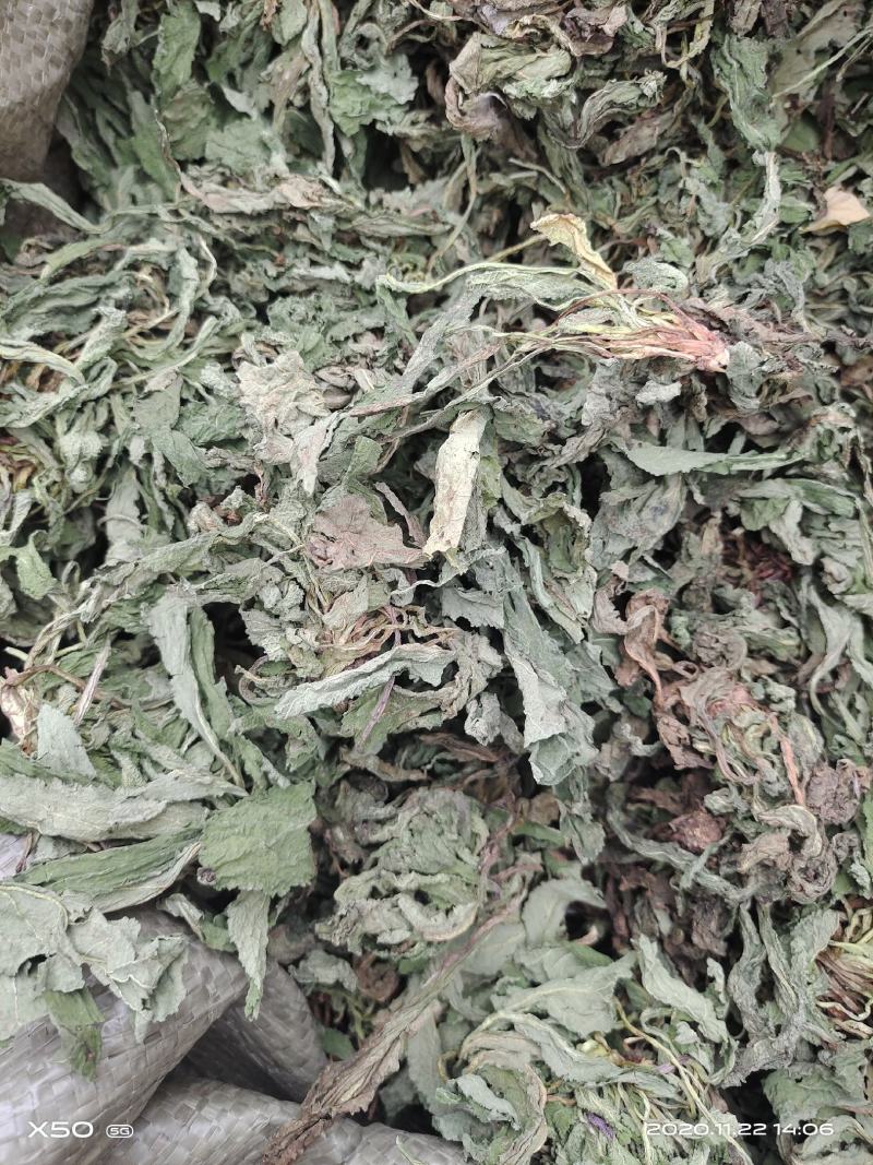 蛤蟆草，中药材治咳良药，不满意可包退。