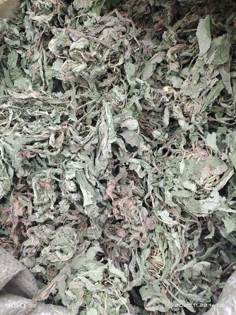 蛤蟆草，中药材治咳良药，不满意可包退。