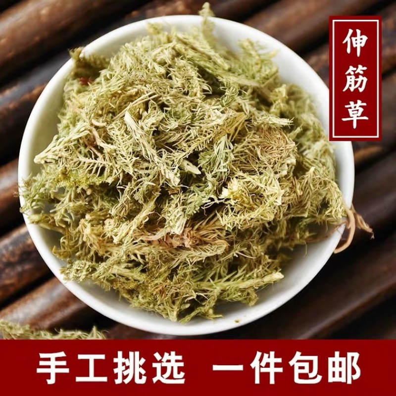 伸筋草舒筋草产地直销批发各种中药材