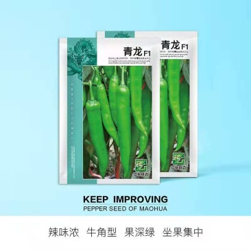 青龙辣椒种子，早熟牛角椒，深绿色辣味浓，坐果集中，适应广