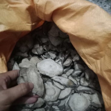入地老鼠干片。紫茉莉根干片。安全，干净，无泥沙，无腐烂无