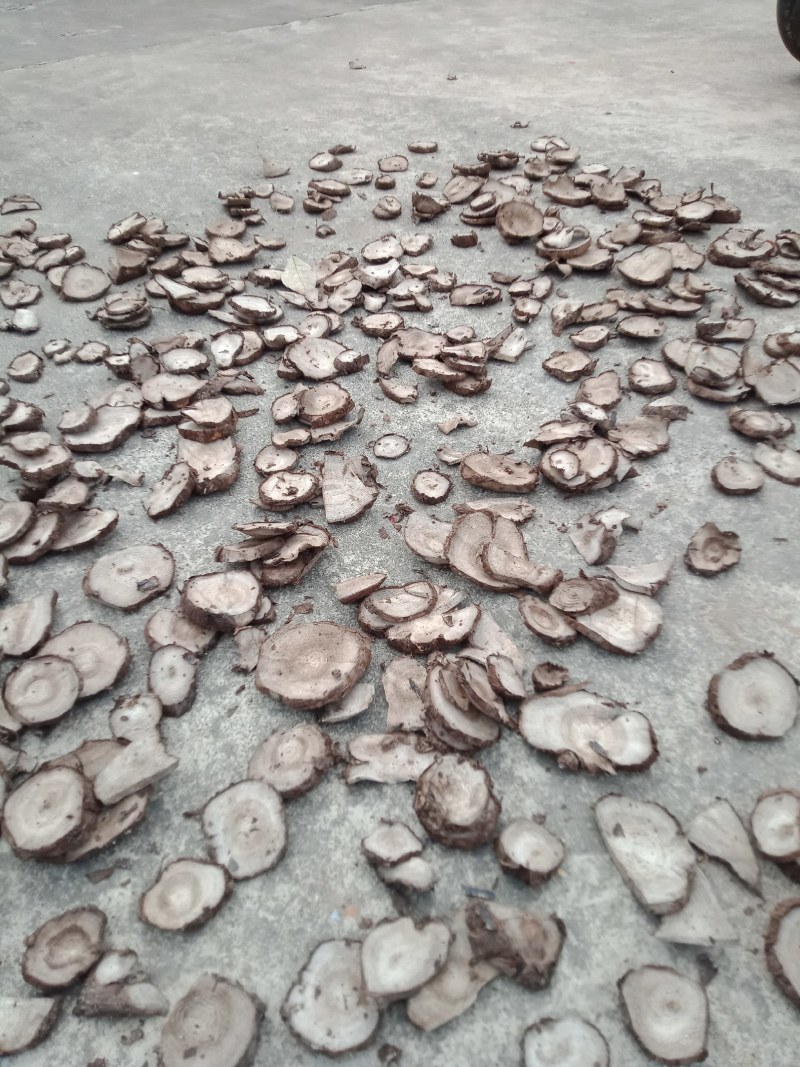 入地老鼠干片。紫茉莉根干片。安全，干净，无泥沙，无腐烂无