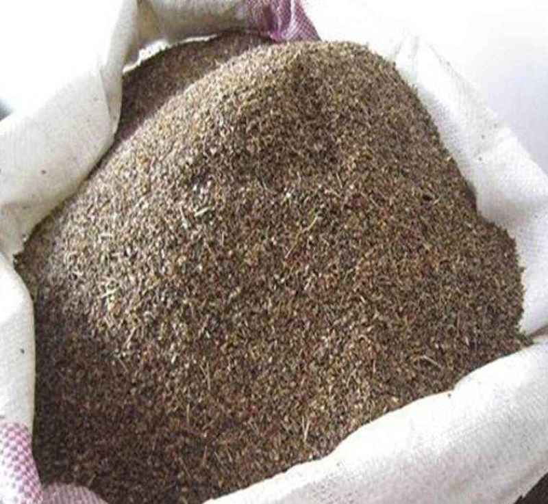 美国红火箭紫薇种子红花紫薇种子新采紫薇种子紫薇种子