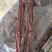风干肉牛肉手撕肉干景区展会热销火爆好产品五香味麻辣味