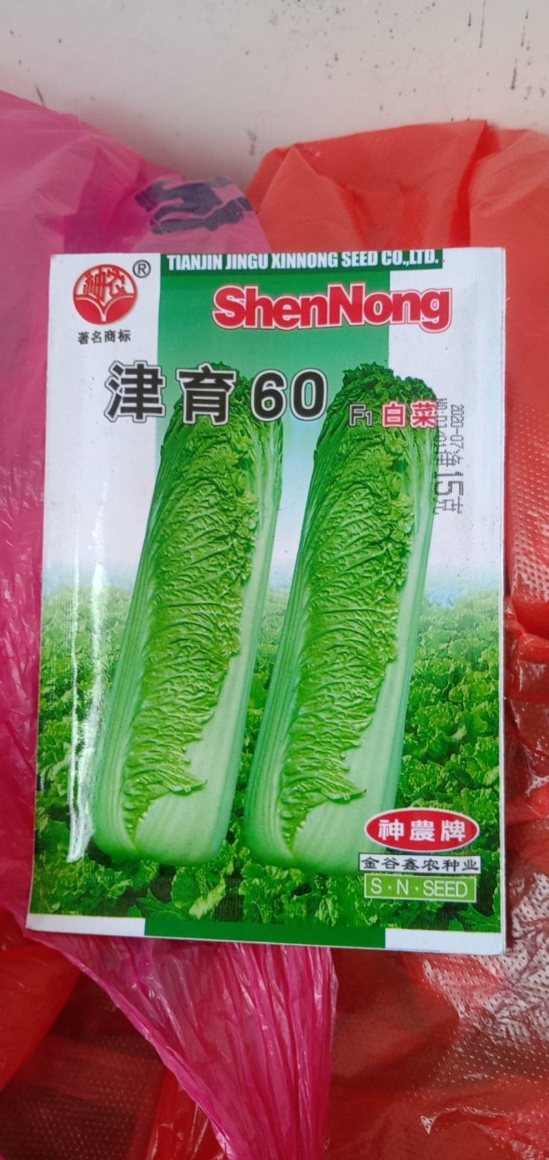 广西竹筒白菜，源充足，细长高大叶片碧绿薄嫩口感好，来电优惠