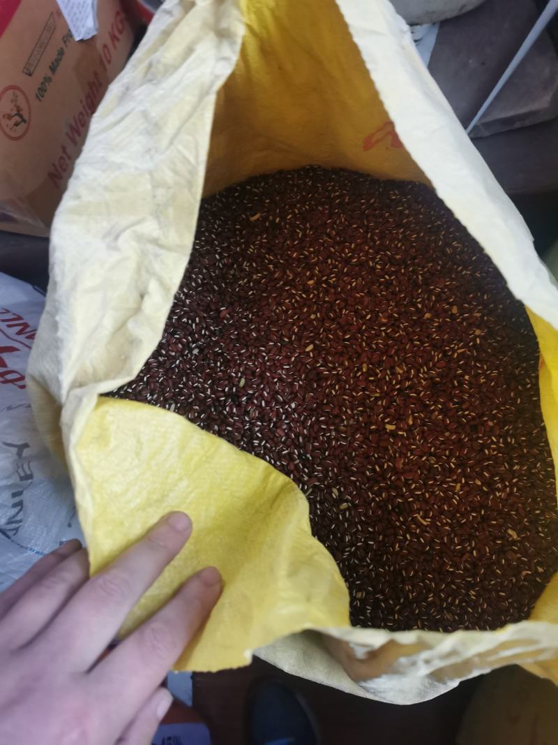 江苏南京自家采摘的野生豆子销售品种有黑豆红豆黄豆