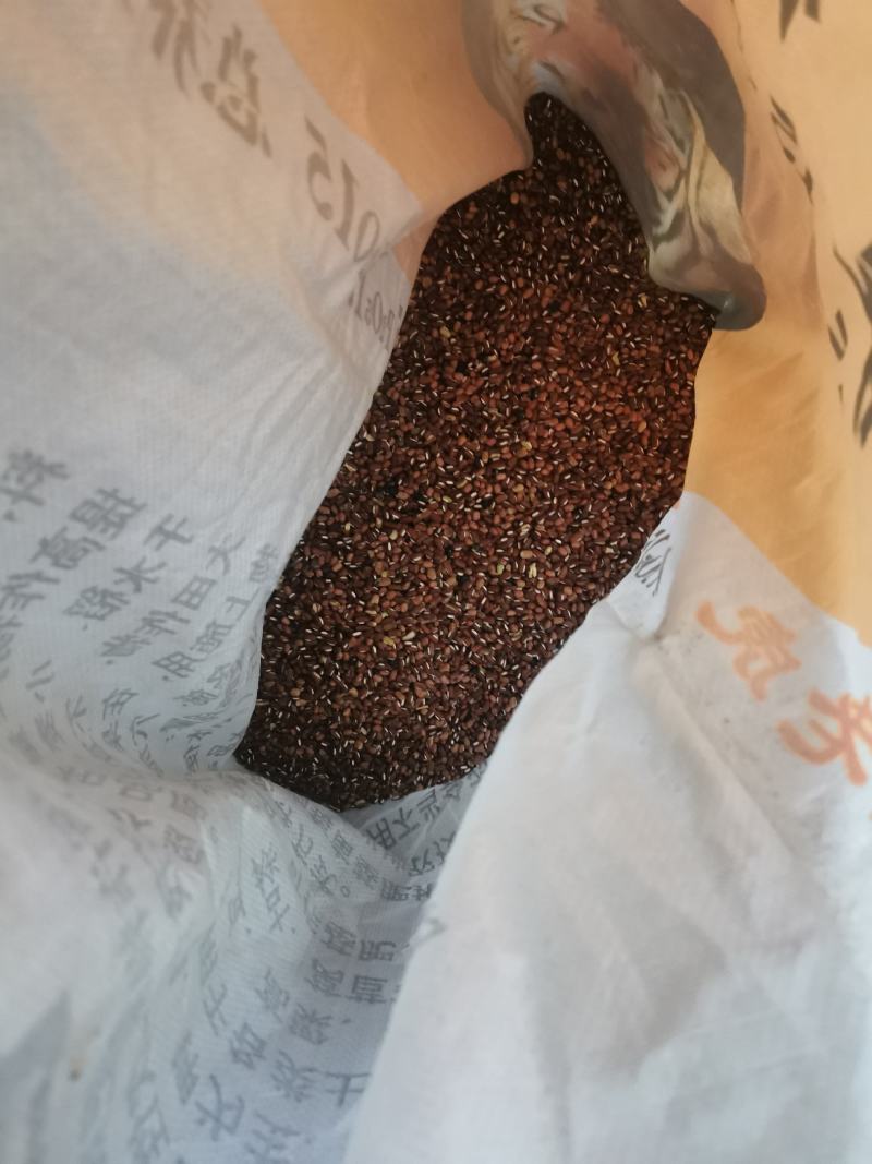 江苏南京自家采摘的野生豆子销售品种有黑豆红豆黄豆