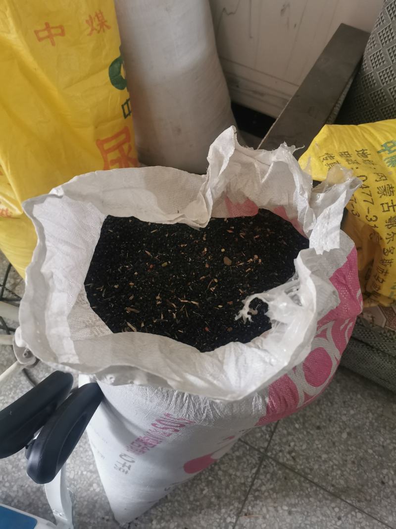 江苏南京自家采摘的野生豆子销售品种有黑豆红豆黄豆