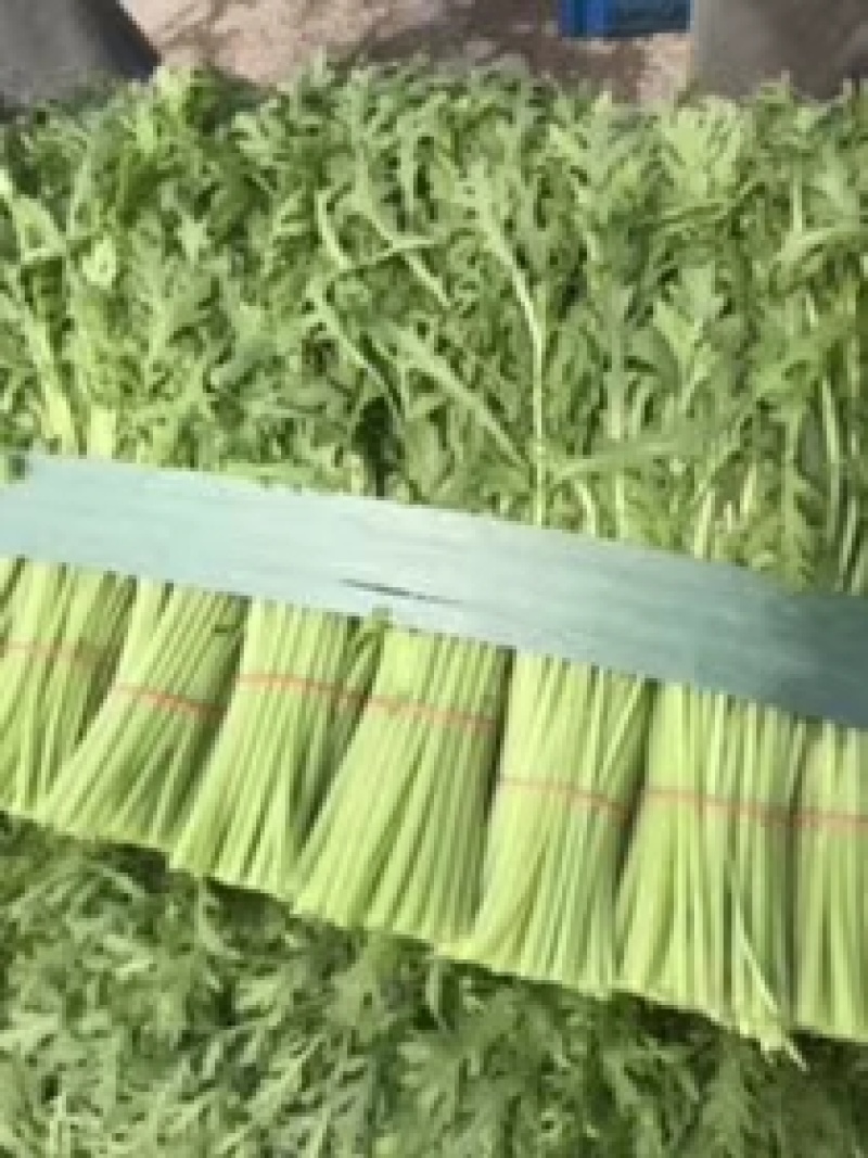 新鲜质量好大量供应，欢迎采购。