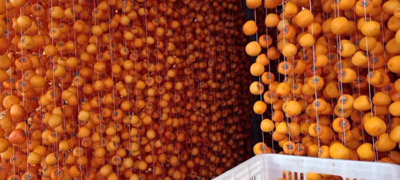 2024年农家特级吊柿饼红饼霜饼小柿饼现货