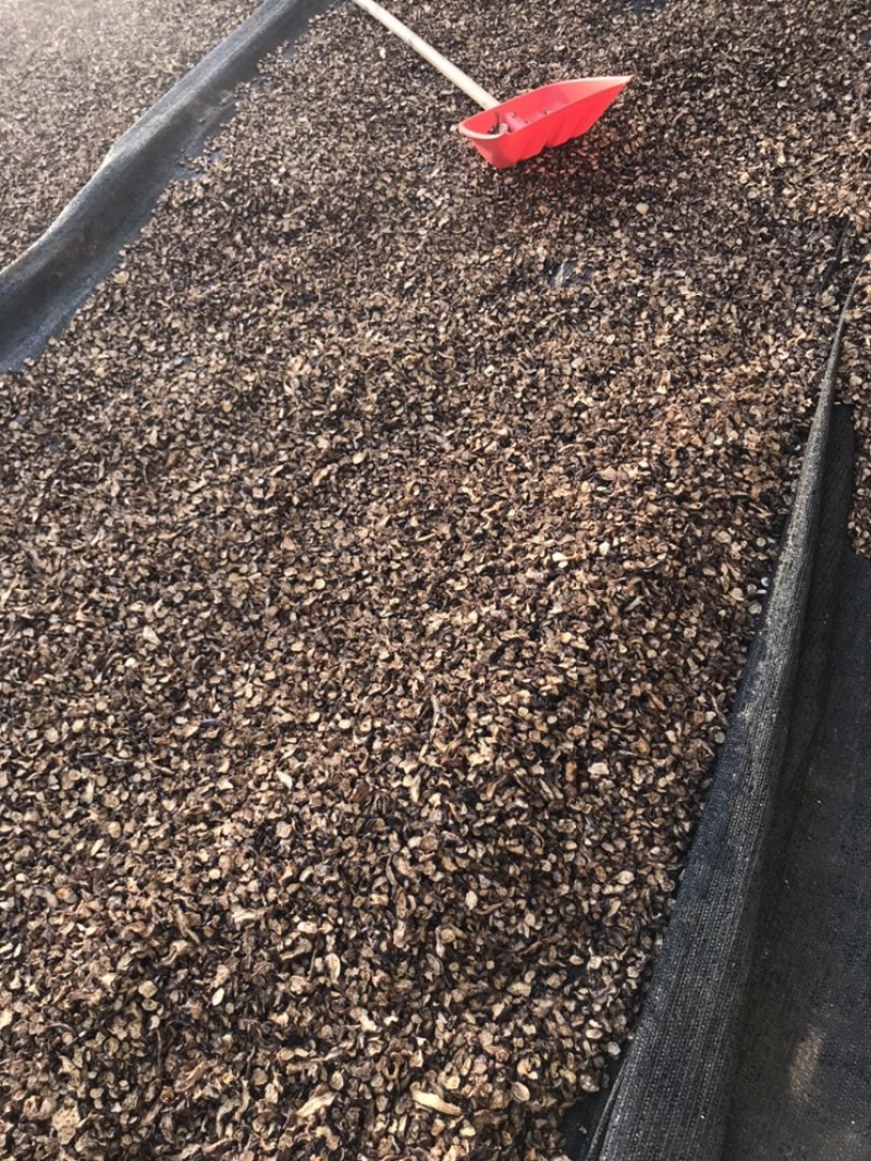 茄子片，茄子干，干茄子，线茄切片，无盐无添加