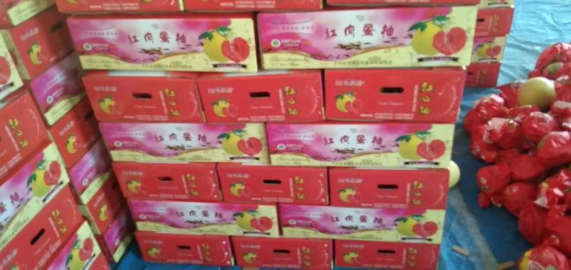 湖北蜜柚红心柚白蜜柚颗粒饱满汁多味甜品质优