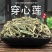 穿心莲穿心连产地直销量大从优野生