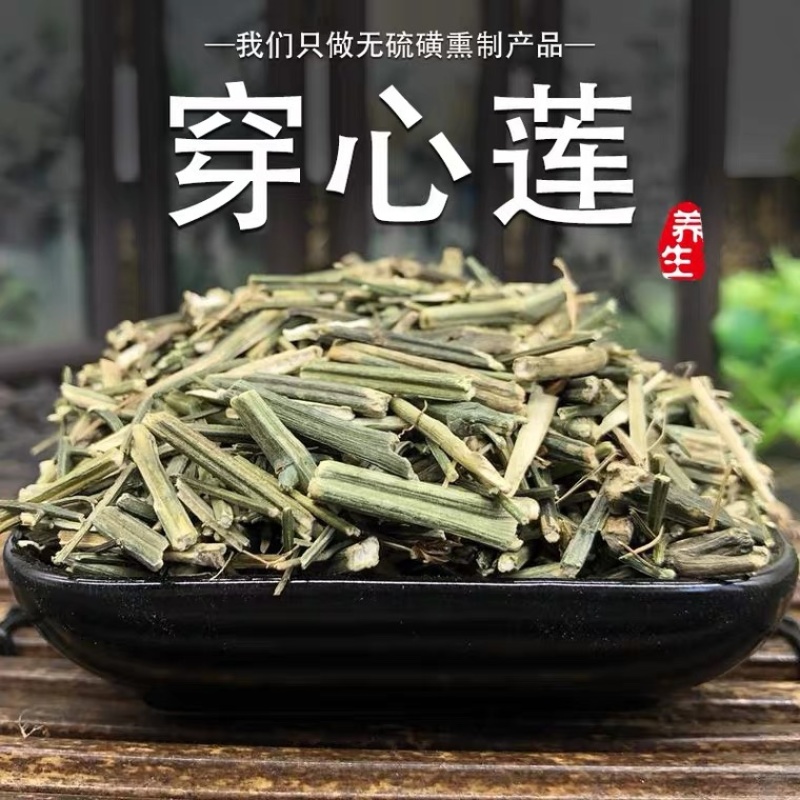 穿心莲穿心连产地直销量大从优野生