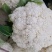 松花菜，四川【有机散花菜】青梗白面，小颗粒，一手货源