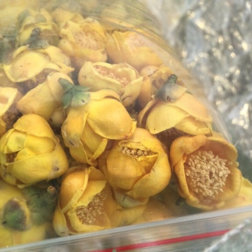 超靓实惠的防普冻干花