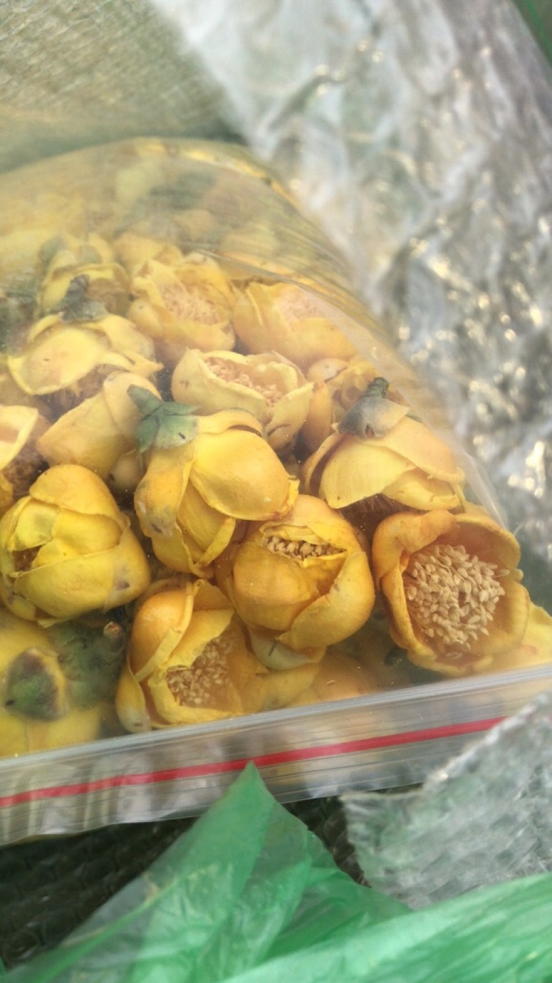 超靓实惠的防普冻干花